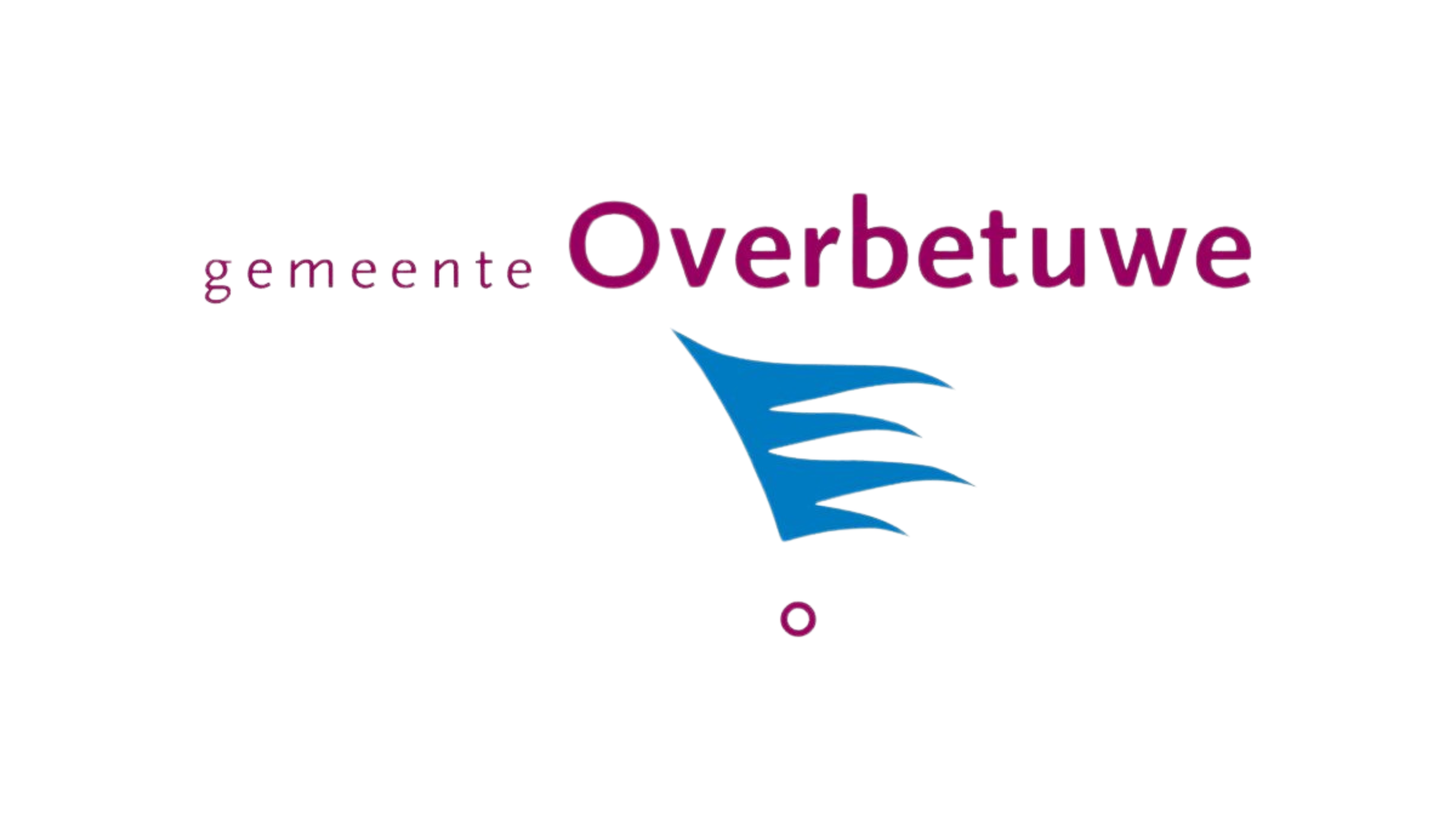 Realizing energy hubs in Overbetuwe